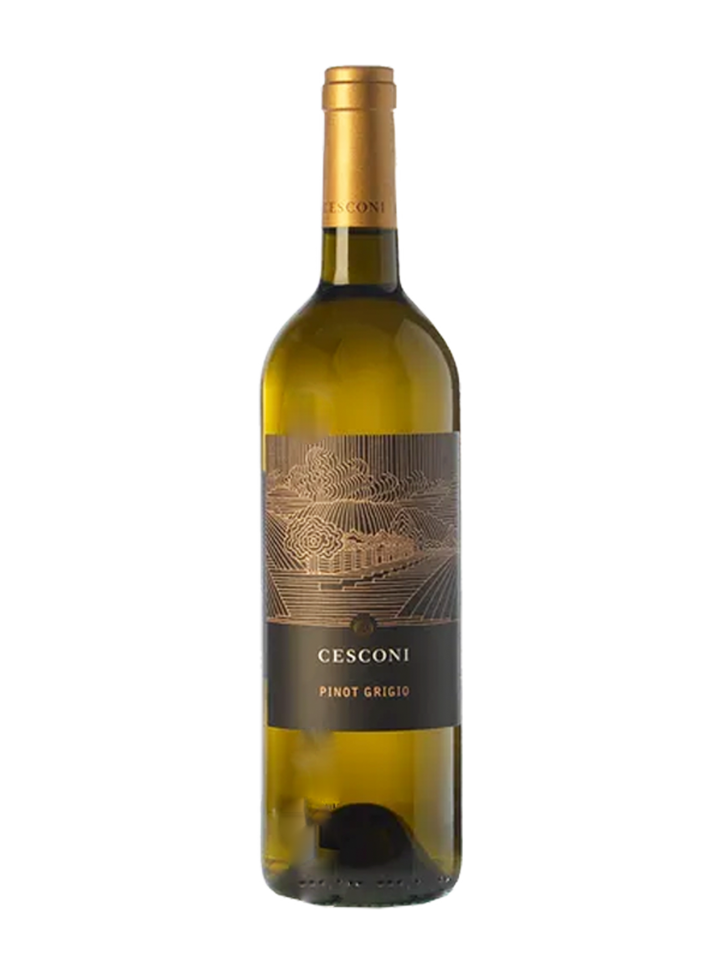 Pinot Grigio Classico