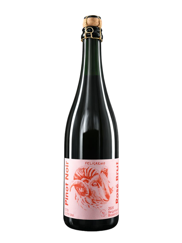 Pinot Noir Rosé - Sekt brut