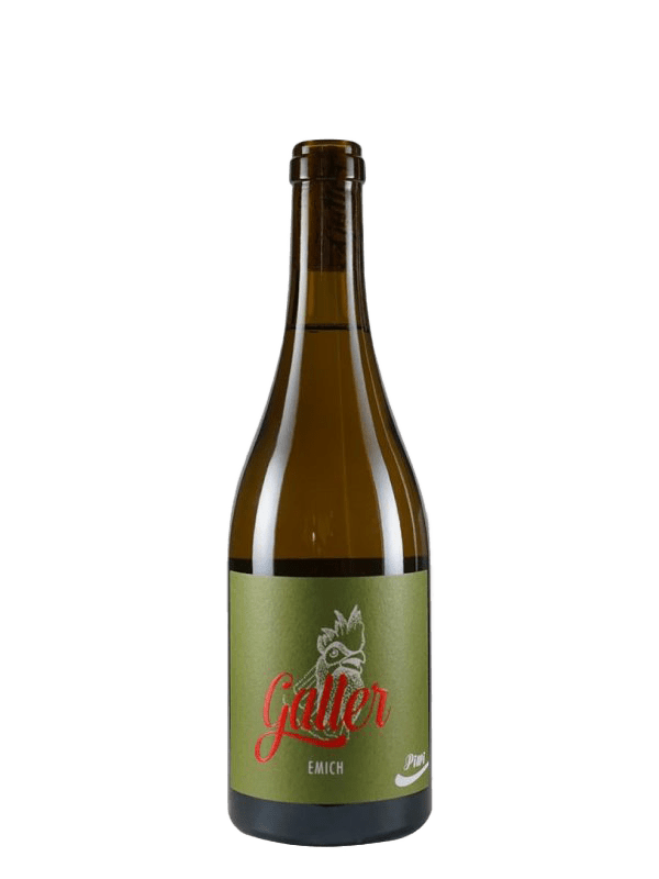Muscaris Auslese PiWi
