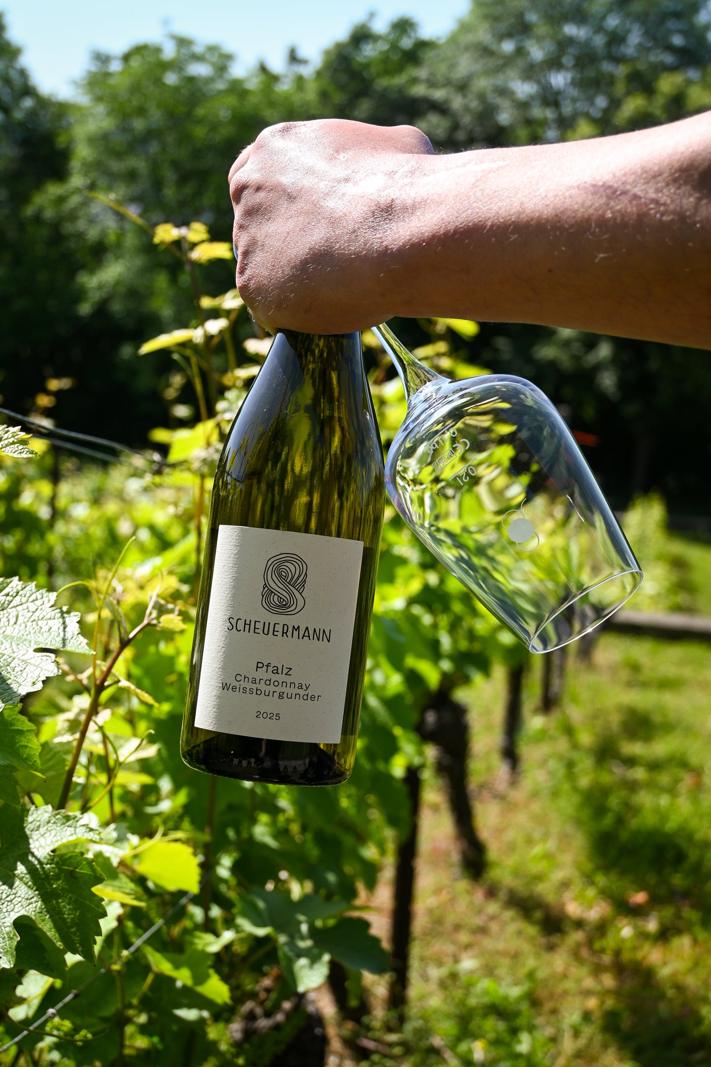 Chardonnay & Weißburgunder trocken