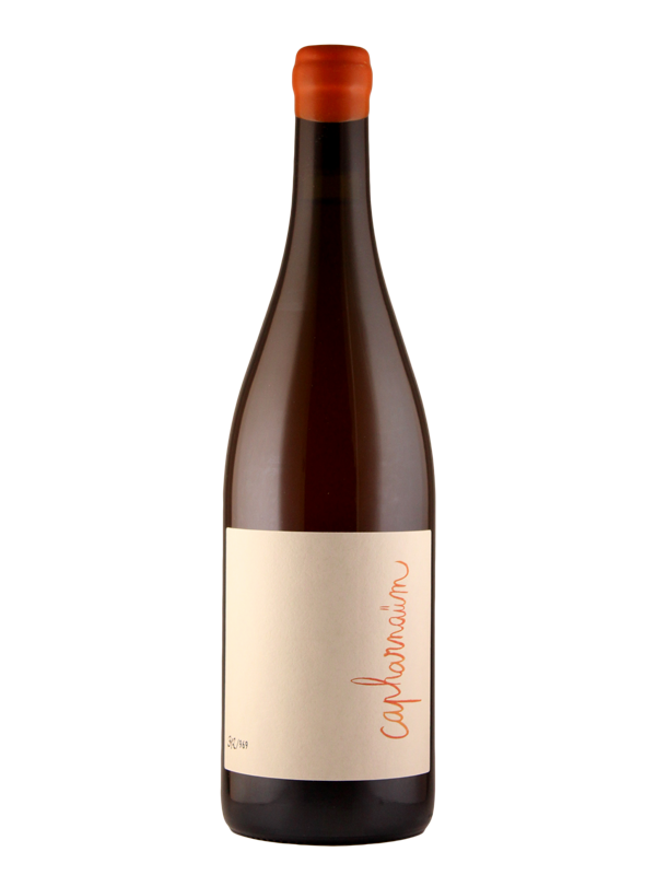 Capharnaüm - Gutedel&Pinots