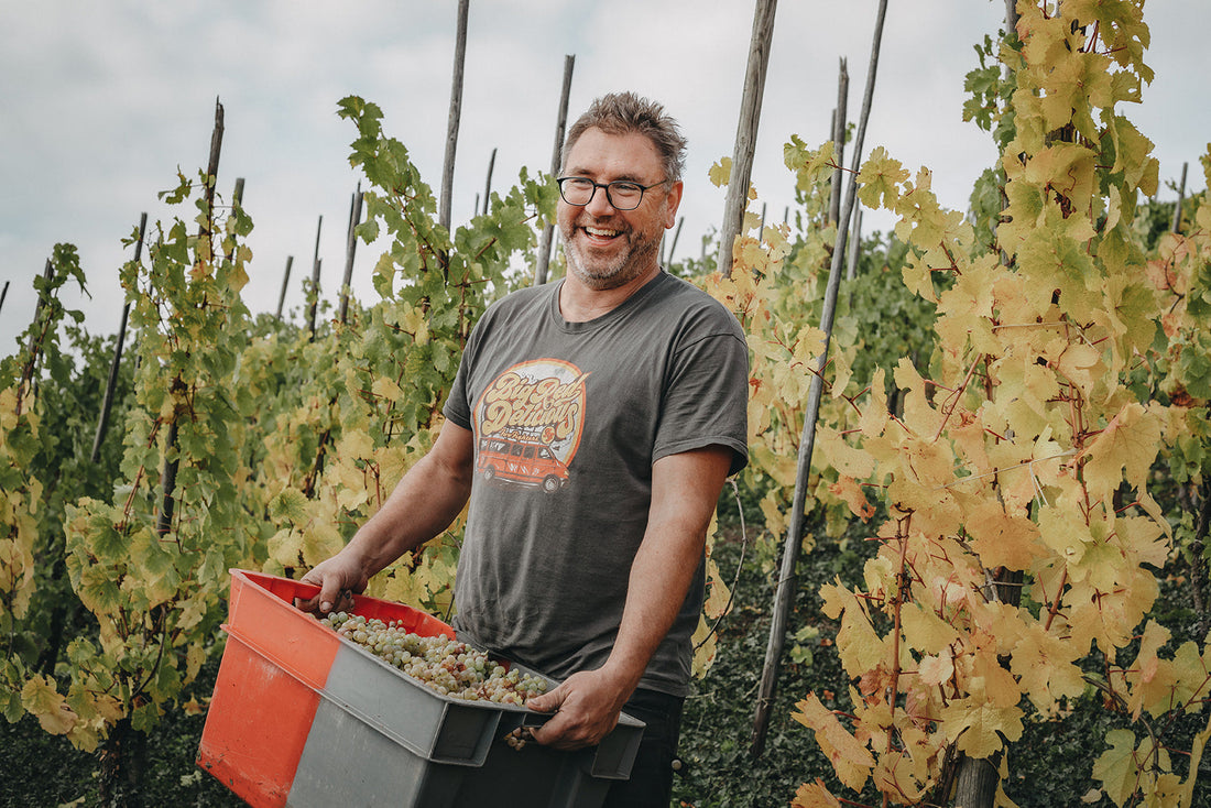 Weingut Staffelter Hof – Naturwein & Riesling von der Mosel