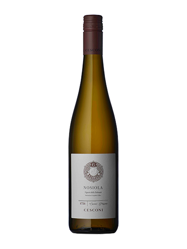 Nosiola Bianco Linie Kreuzer