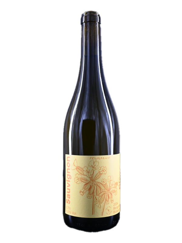 Sauvignon Blanc Natur - Fürstenlager